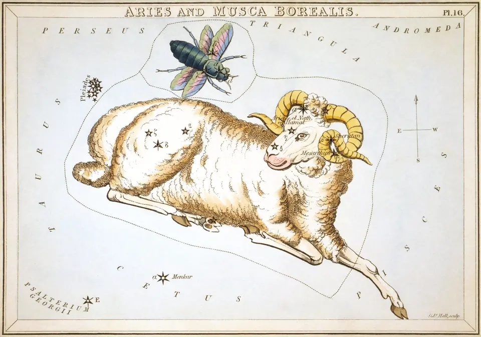 Kolorierter Stich des Sternbilds des Widders (Aries), Sternkarte aus Urania's Mirror, London 1824