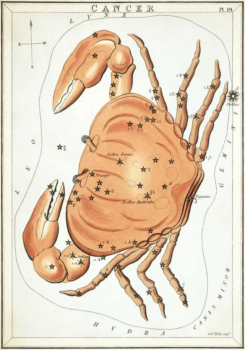 Kolorierter Stich des Sternbilds des Krebses (Cancer), Sternkarte aus Urania's Mirror, London 1824