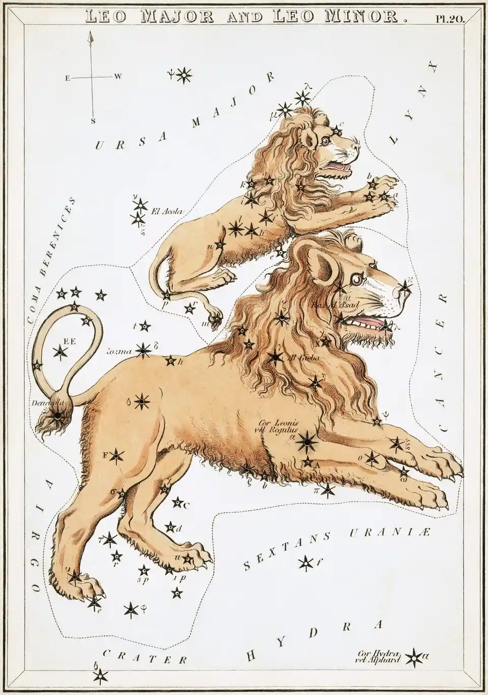 Kolorierter Stich des Sternbilds des Löwen (Leo), Sternkarte aus Urania's Mirror, London 1824