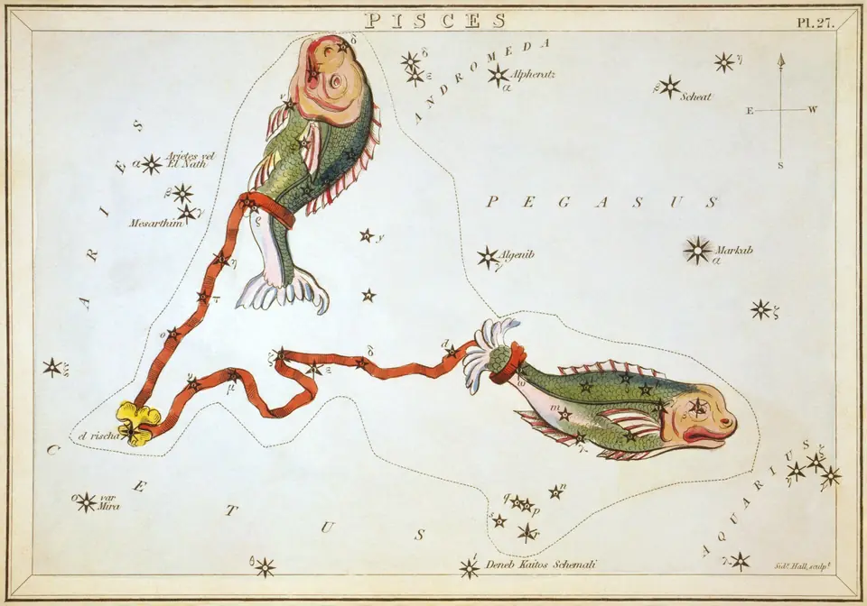 Kolorierter Stich des Sternbilds der Fische (Pisces), Sternkarte aus Urania's Mirror, London 1824