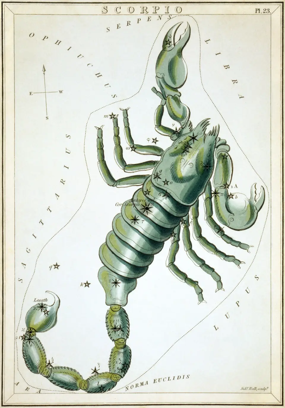 Kolorierter Stich des Sternbilds des Skorpions (Scorpius), Sternkarte aus Urania's Mirror, London 1824