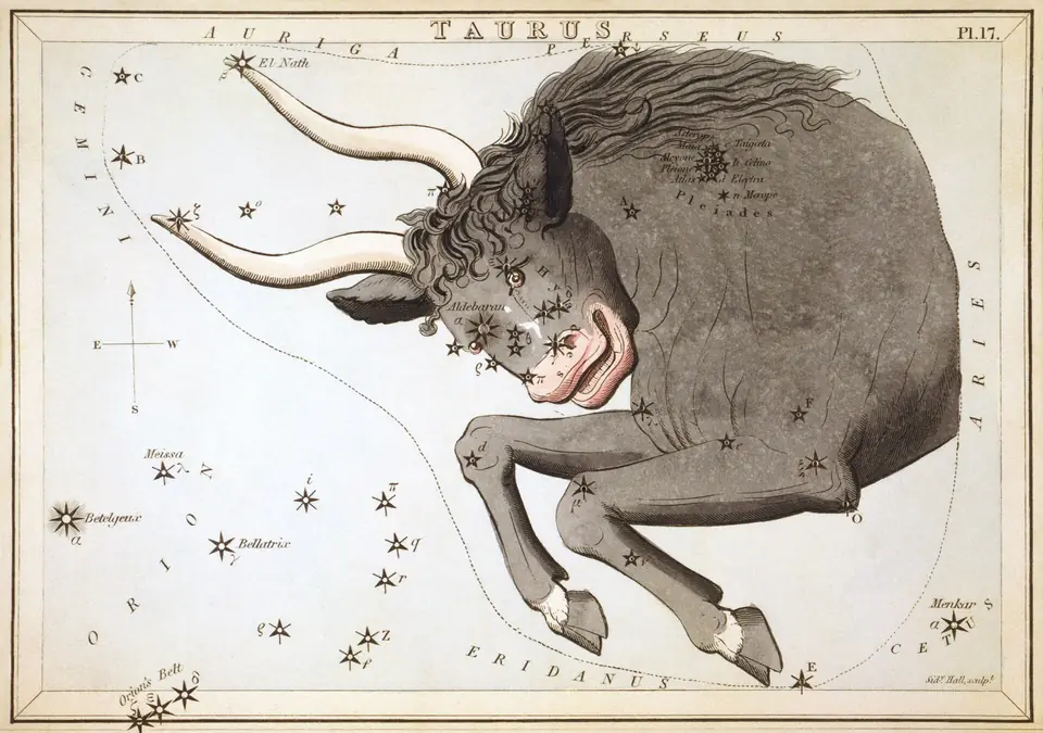 Kolorierter Stich des Sternbilds des Stiers (Taurus), Sternkarte aus Urania's Mirror, London 1824